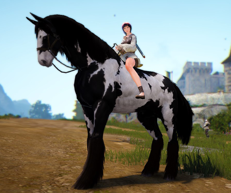 Star Stable Online: First Max Level Horse! - Aywren's Nook