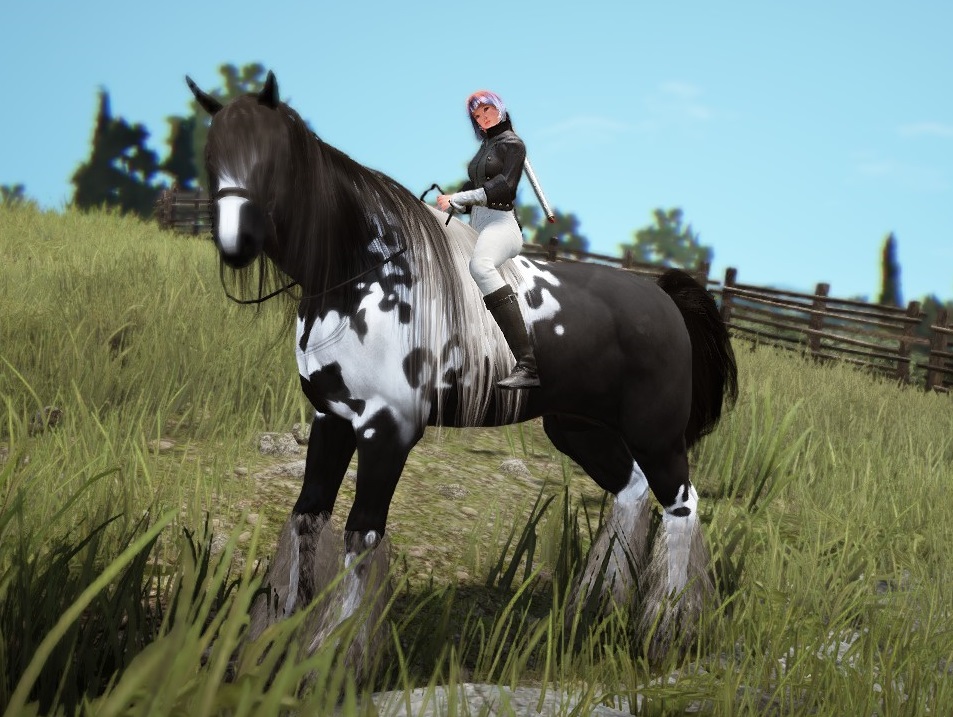 bdo horse breeding time calc