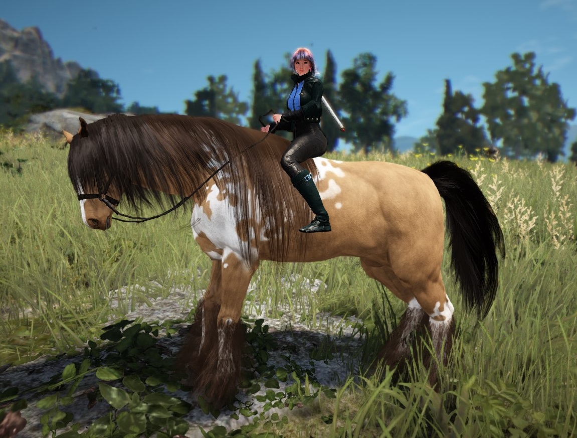 BDO Breeding the Impossible T8 Horse and Courser Training Aywren's