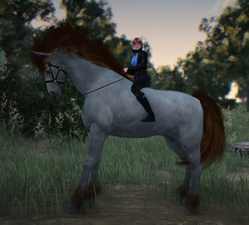 Star Stable Online: First Max Level Horse! - Aywren's Nook