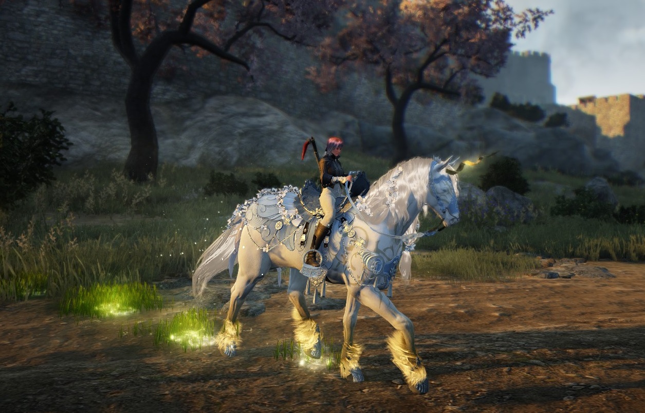 bdo-second-dream-horse-kinda-back-in-the-saddle-aywren-s-nook